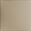 Cast and Bevel - Diamond Dust Ceiling Tile (2x2) Latte
