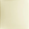 Cast and Bevel - Diamond Dust Ceiling Tile (2x2) Sand